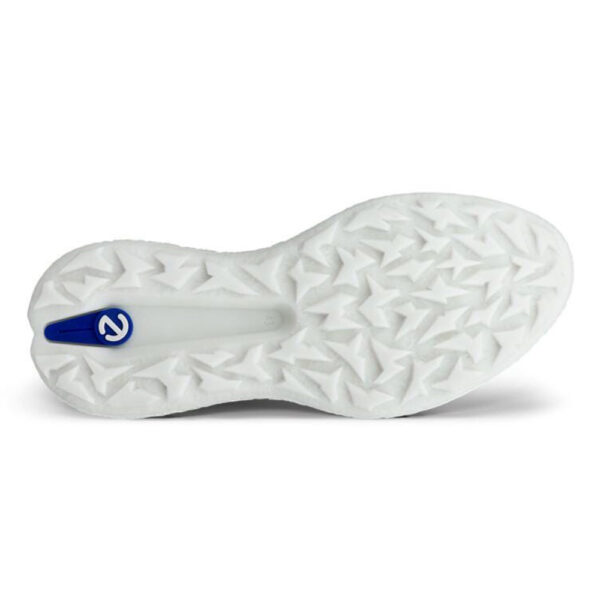 Ecco Golf BIOM Hybrid 5 Text - Herre