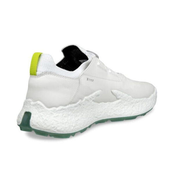 Ecco Golf BIOM H5 Boa Wp - Herre