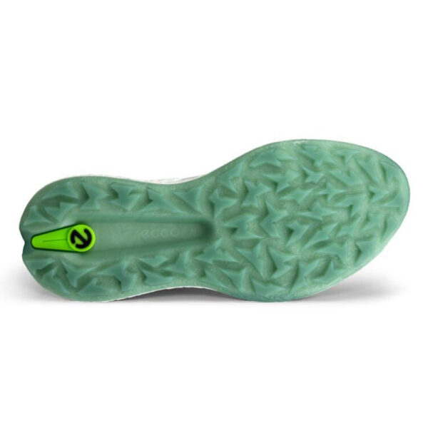 Ecco Golf BIOM H5 Boa Wp - Herre